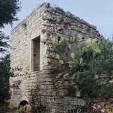 La torre si trova sulla destra, parzialmente nascosta dalla vegetazione di Lama Balice